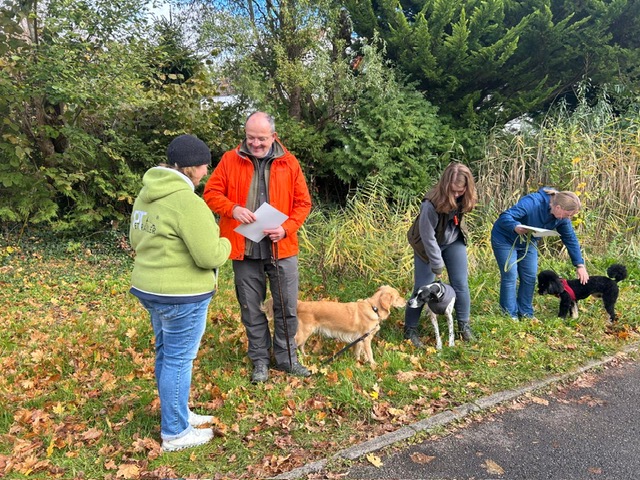 1a9148a2-f4ad-45df-b866-8f4a0bbfcf50