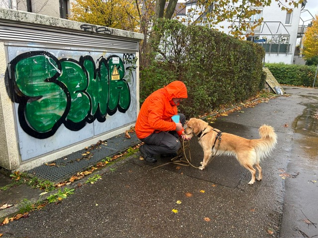 29b0dc9f-9355-4448-8e36-137821ec8185