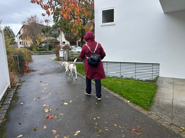 61403336-f0b9-4989-afb6-c9c7315acd3f