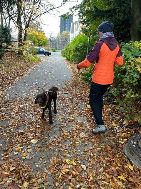 f3dda059-749e-404e-8ef8-bf6bb1a78ff5