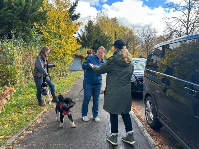 ff4164fd-208c-441a-9d98-a85b4084a363