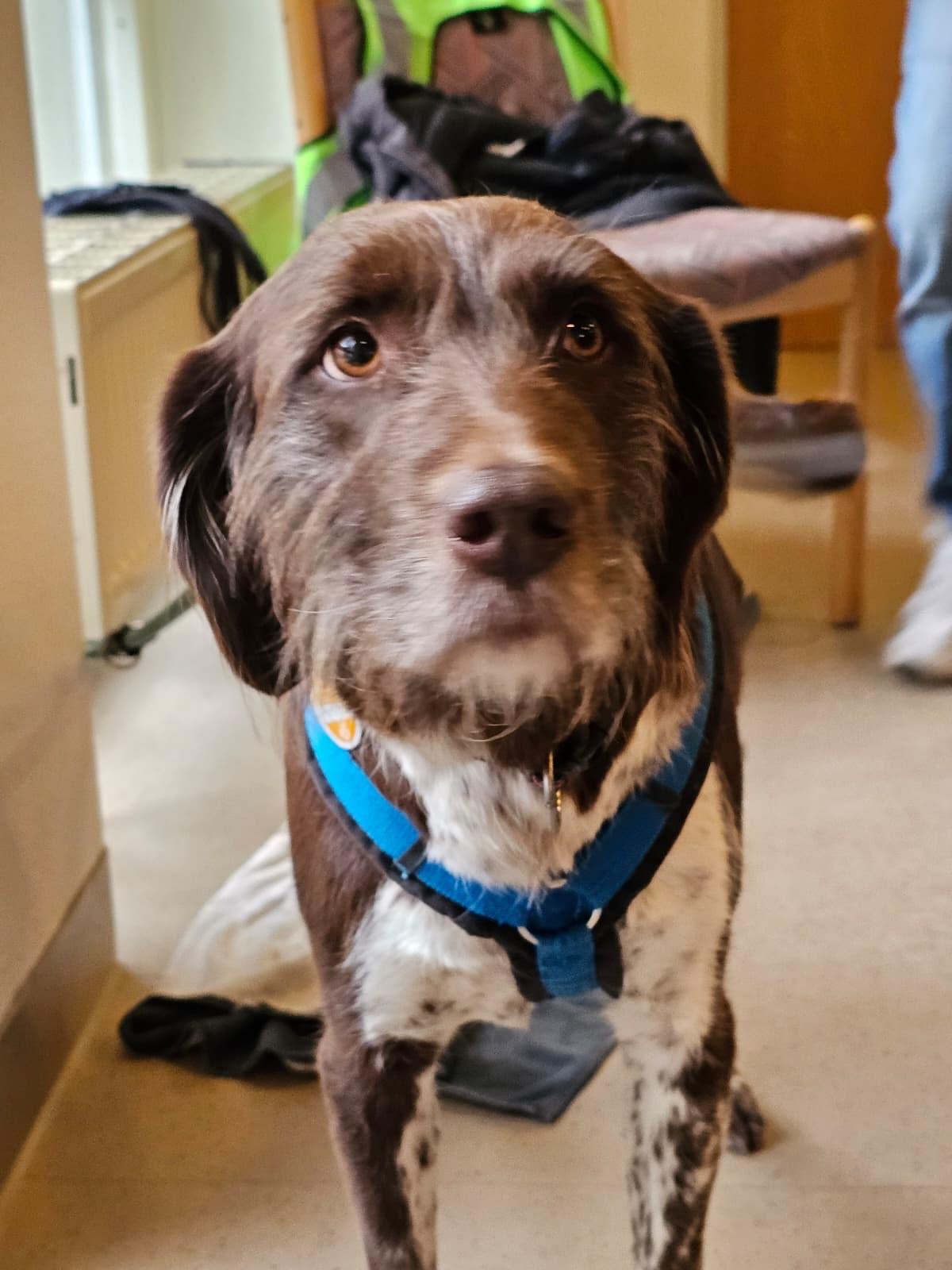 153d724b-0aa8-49eb-9f35-5d3a9df60b20