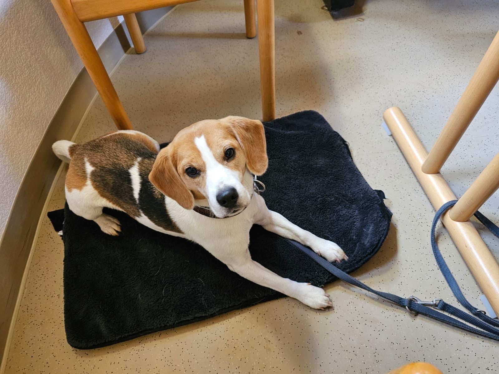 20192bdb-77cb-40a3-b1c2-fb25b80667a9