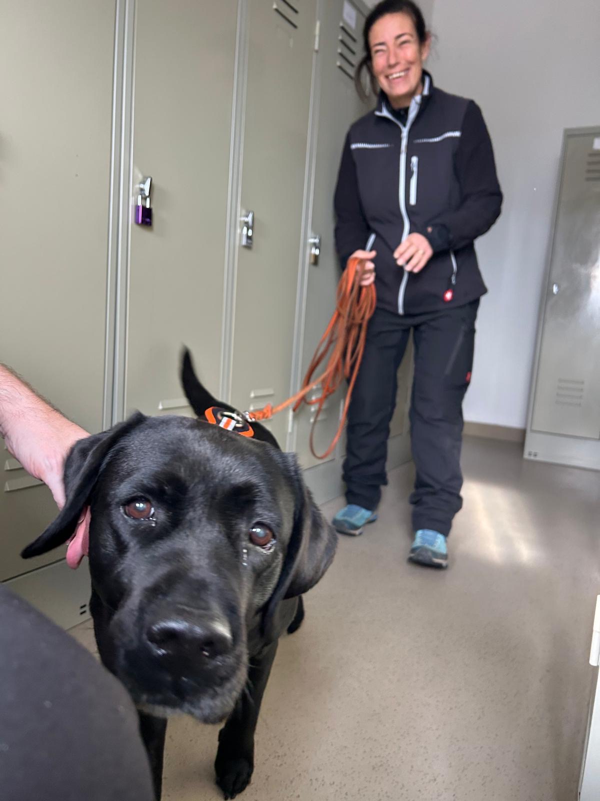 b291ef31-ca88-438f-aa8d-ca10aea6eb65