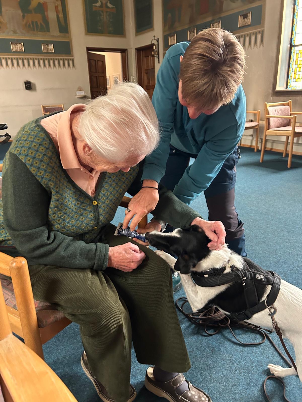 cf7c8295-3266-4687-aba9-d0637785c476