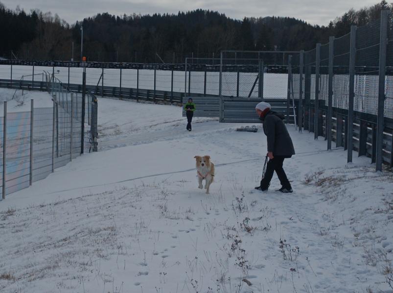 IMG_20251231_131849_1