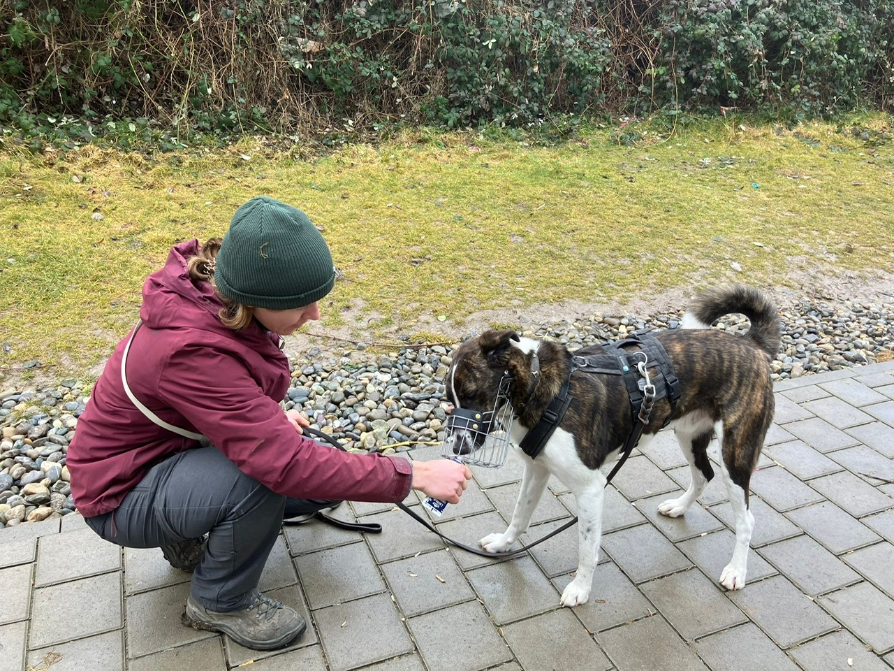 4F2C507F-85B2-404F-84E6-B6CF0432E973