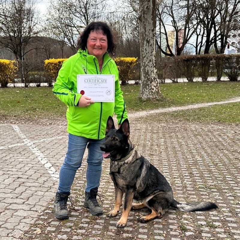 31ed3c27-fe28-487b-85be-bf641c20186d