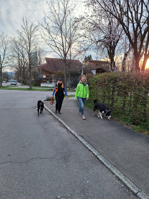 78553015-5d97-4547-b1b9-c55302559900