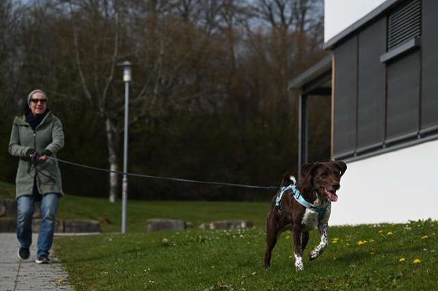 28fa1584-d491-404c-9cb3-ab7e823cdb95