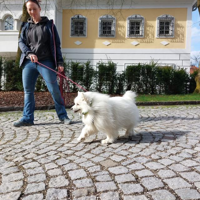 64808681-5afd-498c-a714-03fb7a54855b