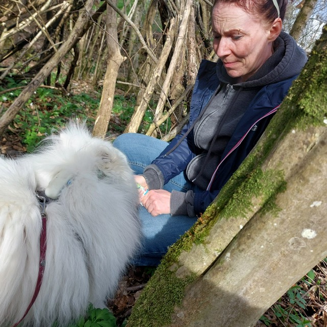 6557c94f-6a04-40e1-8493-8f0a58324ccd