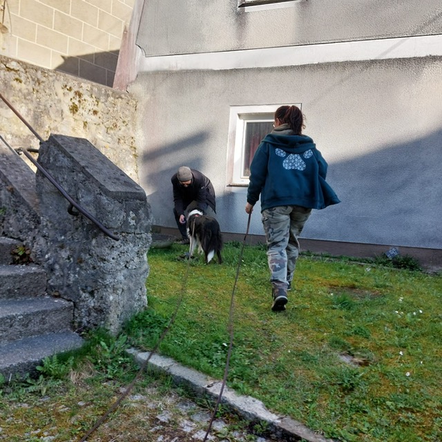 d47844ba-098d-45d5-af8f-266a1f659919