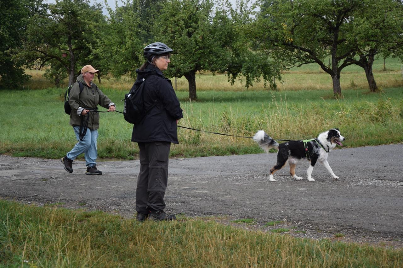 dbee08c8-36d3-47da-ad80-aa67ea2c9d2a