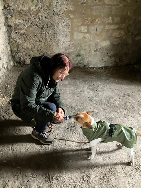 2e8524d2-14a2-4fbc-8a69-054a116ecc64